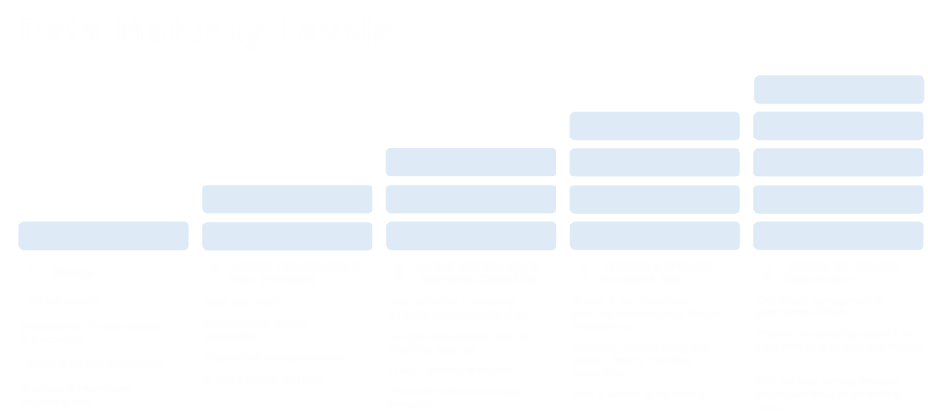 Data Maturity Levels